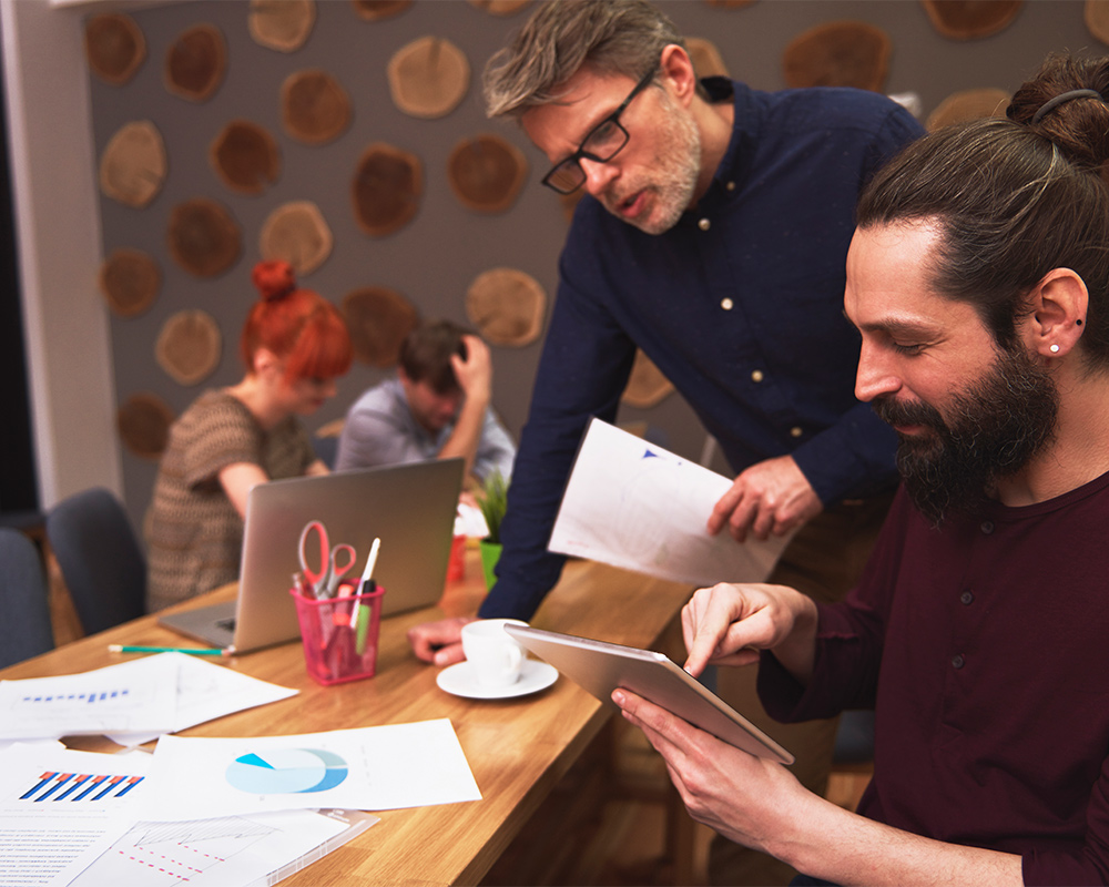 Individuele DISC coaching in het kort